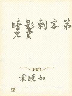 暗影刺客第9季免费