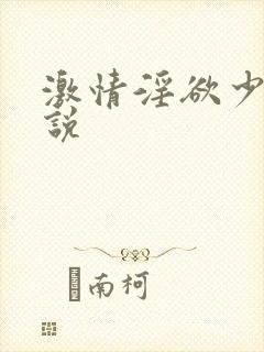 激情淫欲少妇小说