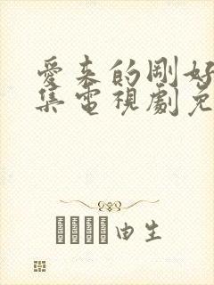 爱来的刚好60集电视剧免费观看