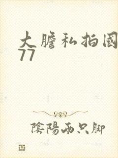 大胆私拍国模377