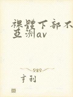 裸体下部不遮挡亚洲av