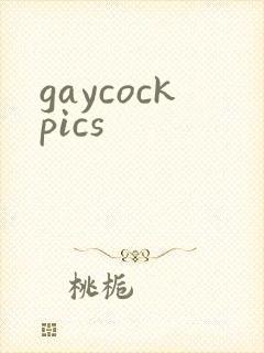 gaycockpics