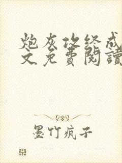 炮灰攻终成共全文免费阅读