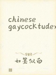 chinesegaycocktudexxx