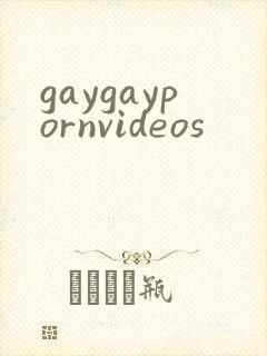 gaygaypornvideos封面