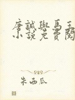 唐诚与马玉婷的小说免费阅读封面