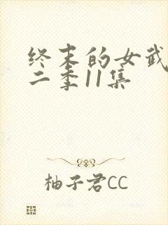 终末的女武神第二季11集