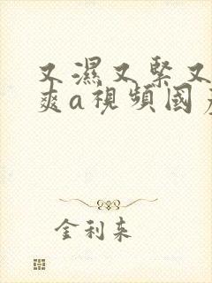 又湿又紧又大又爽a视频国产