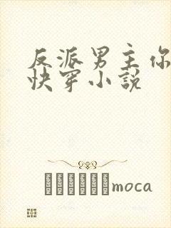 反派男主你好坏快穿小说封面