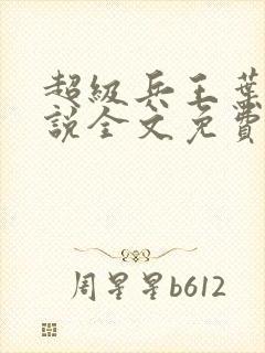 超级兵王叶谦小说全文免费阅读