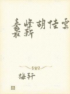 秦峰胡佳云正版最新