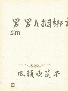 男男h捆绑调教sm