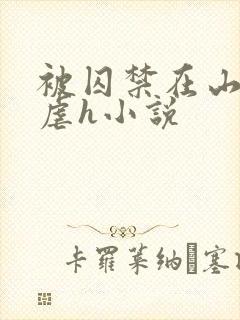 被囚禁在山村淫虐h小说