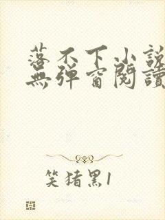 落不下小说免费无弹窗阅读