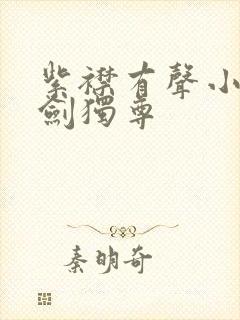 紫襟有声小说一剑独尊