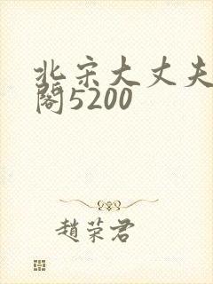 北宋大丈夫笔趣阁5200