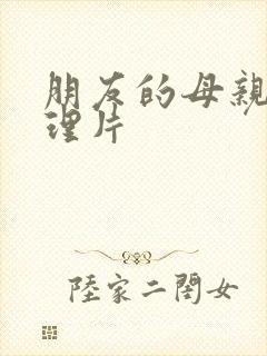 朋友的母亲 伦理片