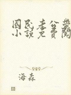 国民老公带回家小说免费阅读全文封面