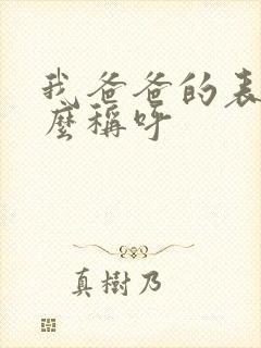 我爸爸的表弟怎么称呼