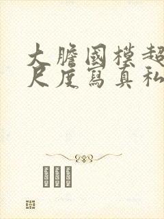 大胆国模超超大尺度写真私拍在线播放