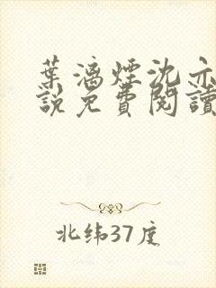 叶漓烟沈亦安小说免费阅读封面