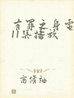 有罪之身电视剧11集播放