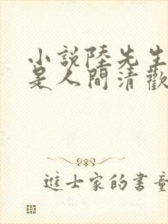 小说陆先生,你是人间清欢处阅读