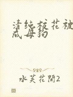 清纯校花被调教成母狗