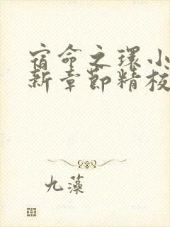 宿命之环小说最新章节精校版