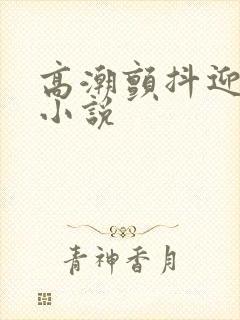 高潮颤抖迎合h小说