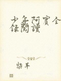 少年阿宾全文目录阅读