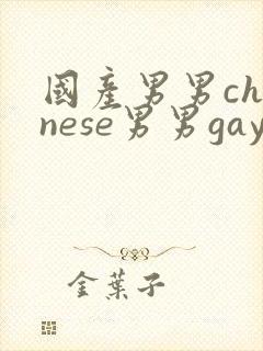 国产男男chinese男男gaygay网站
