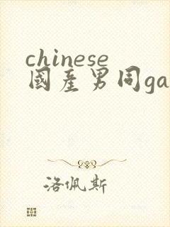 chinese国产男同gaygay网站封面