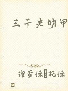 三千光明甲