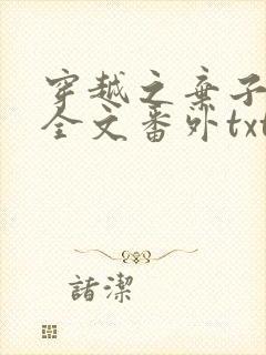 穿越之弃子横行全文番外txt