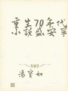 重生70年代的小说盛安宁