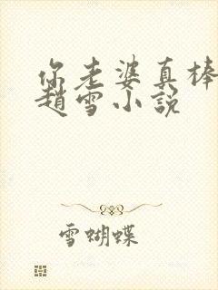 你老婆真棒张齐赵雪小说