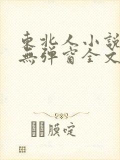 东北人小说免费无弹窗全文阅读