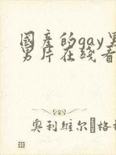 国产的gay男男片在线看