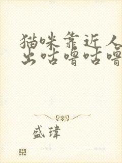 猫咪靠近人就发出咕噜咕噜的声音