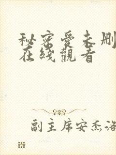 秘密爱未删减版在线观看封面
