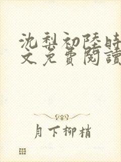 沈梨初陆时霁全文免费阅读最新章节封面