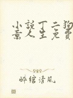 小说丁二狗的肆意人生免费阅读