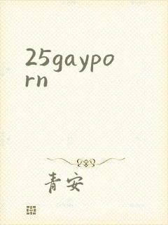 25gayporn封面