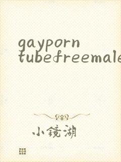 gayporntubefreemalesexvideo