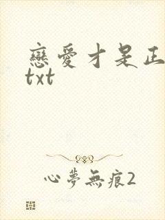 恋爱才是正经事txt封面