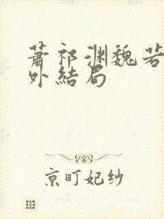 萧祁渊魏若泠番外结局封面