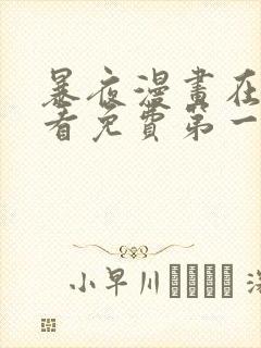 暴夜漫画在线观看免费第一季封面