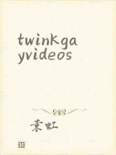 twinkgayvideos