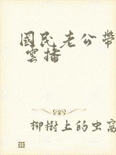 国民老公带回家 云播封面